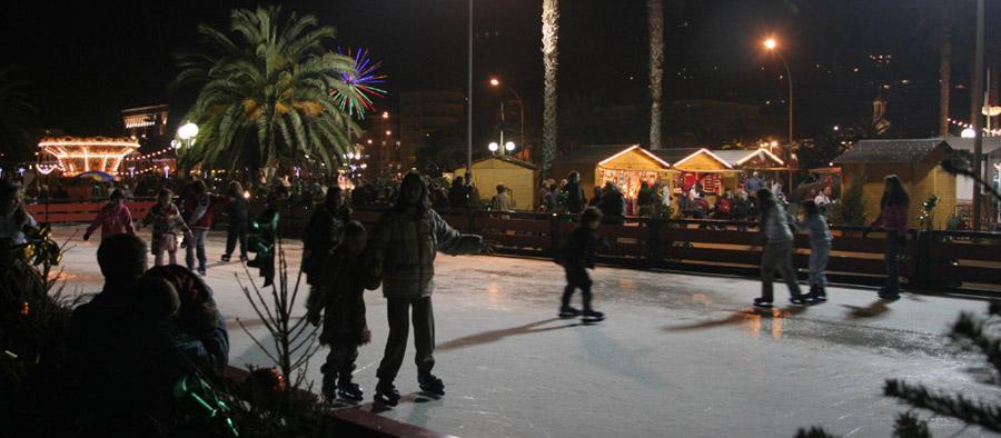 Patinoire synthetique location secteur prive